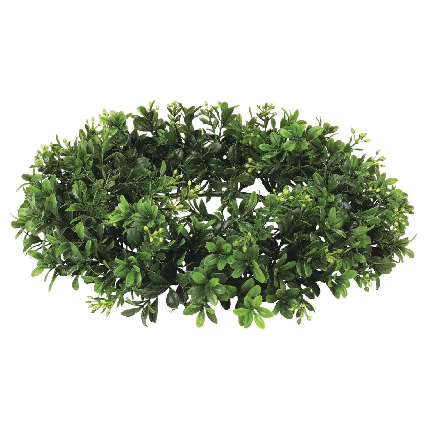 Boxwood Accent Ring